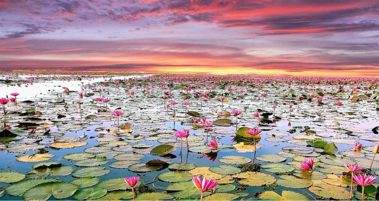 Bua Daeng Homestay Resort Kumphawapi Dış mekan fotoğraf